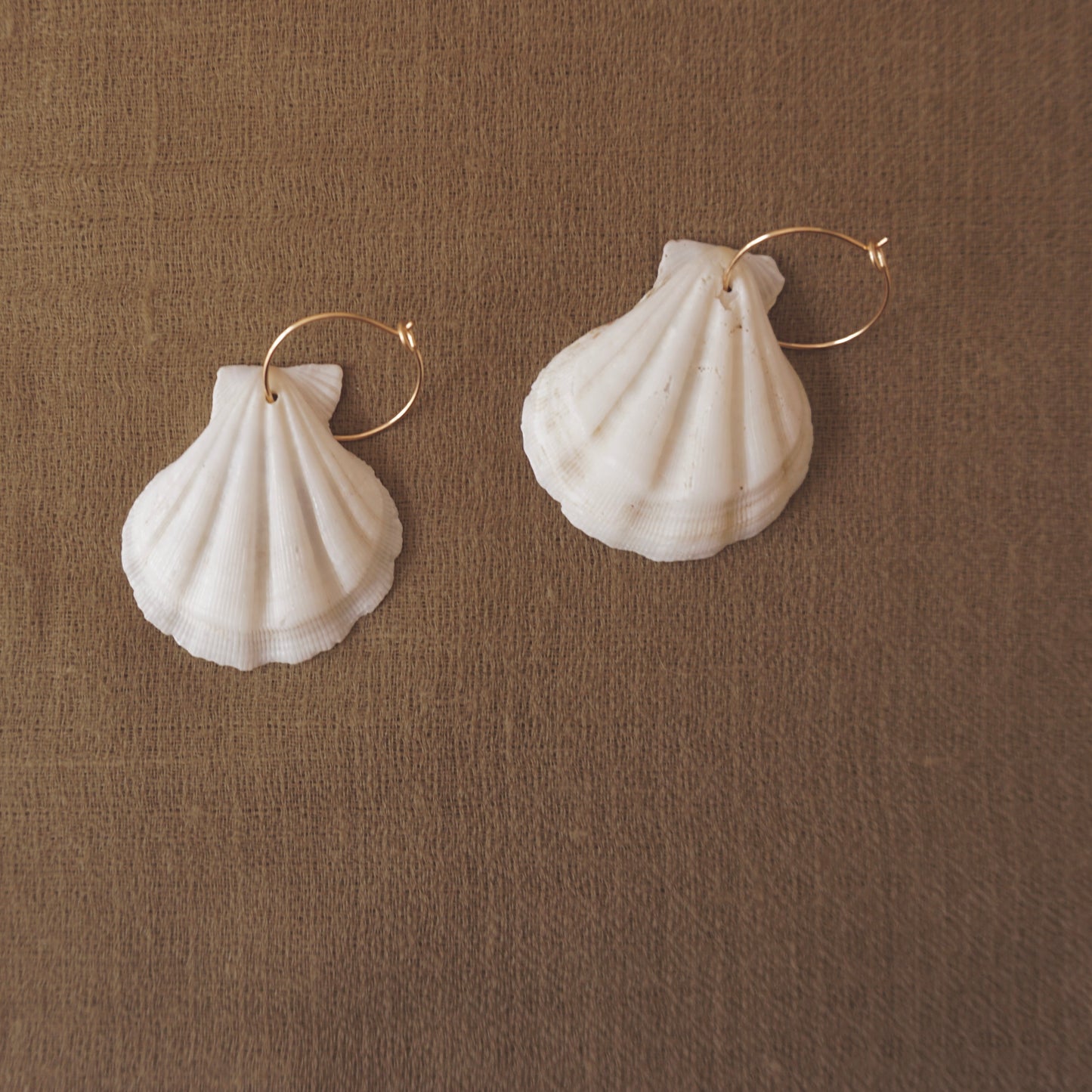 Half Shell Earrings